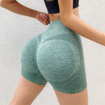 Fitness Yoga Shorts Pants Butt Lifting Seamless Leggings Women Gym - Image 4