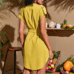 V-neck Short Sleeve Dress With Belt Summer Fashion Bowknot Dresses For Women Clothing - Image 3