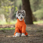 Fashion Personality Dog Pet One-piece Raincoat - Image 4