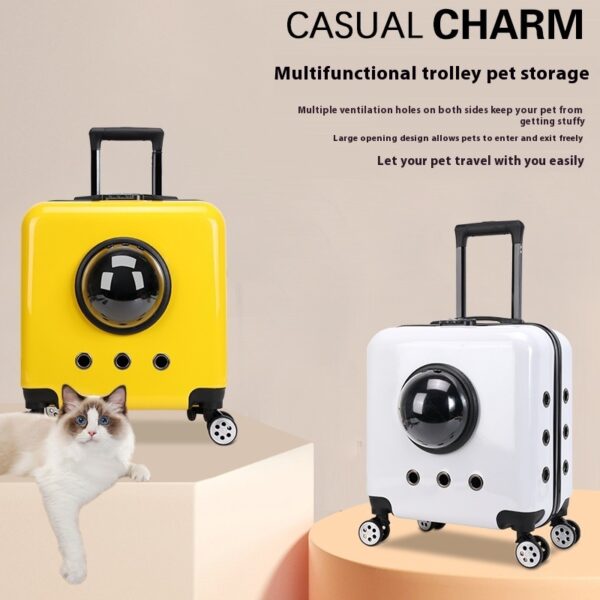 Space Capsule Bag Cat Carry Out Flight Case