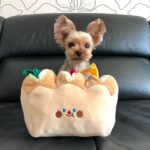 Bread Toast Sniffing Tibetan Food Toys - Image 3