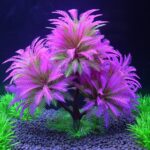 Fish Tank Landscape Artificial Water Grass Tree Landscape Simulation Aquarium Decorative Plastic Plant - Image 2