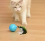 Teaser Cat From High Cat Ball Charging Multi-mode - Image 3