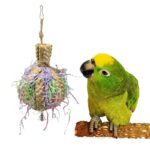 Drawing Straw Rope Toy Parrot Paper - Image 5
