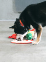 Snail Powder Small Hot Pot Pet Educational Sniffing Toy - Image 6