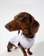 Dog Ultra-thin Vest Raincoat Water And Dirt Resistant Wind Shield - Image 5