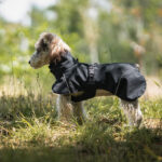 Pet Dog Small And Medium-sized Dogs Waterproof Universal Poncho - Image 10