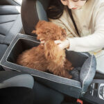 Central Control Car Portable Comfortable Doghouse - Image 7