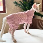 Pet Cool Thin Breathable Cat Four-legged Clothing - Image 2
