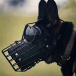 Tactical Mouth Cage Horse Dog Golden Retriever Demu Impact Muzzle - Image 3