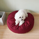 Puppy Bed Pets Products For Dog Small Medium Sofa Accessories Blanket Baskets Pet Supplies Mat Fluffy Cats Bed - Image 4