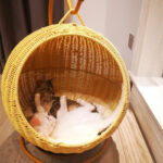 Cat Mattress Cradle Breathable Pet Supplies - Image 3