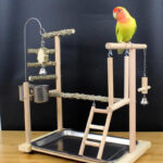 Parrot Toys Tiger Skin Peony Bird Stand Xuanfeng Xiaotai Stand Pepper Wooden Stand Sub-stand Pole - Image 2