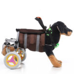 Pet Walking Dog Wheelchair Scooter - Image 2