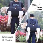 Pet Medium And Large Dog Backpack - Image 4
