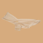 Pet Base Coat Dachshund Dog Clothing - Image 5