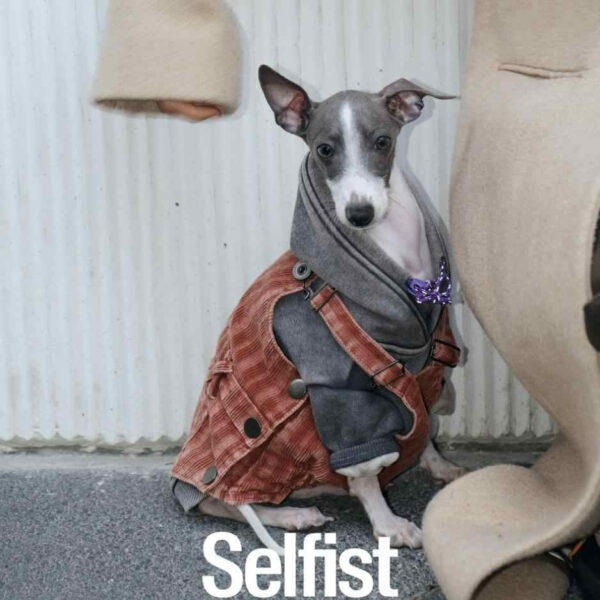 Sausage Little Lingti Schnauzer Bichon Old Washing Tooling