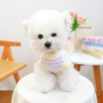 Clothing Traction Vest Pet Dog - Image 4