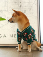 Sweater Dog Festive Festival Red New Year Greeting - Image 3
