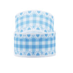 Packaging Polyster Ribbon Strap - Image 10