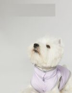 Dog Ultra-thin Vest Raincoat Water And Dirt Resistant Wind Shield - Image 3