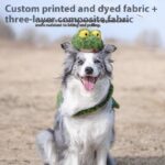 Pet Molar Long Lasting Sounding Dog Toy - Image 2