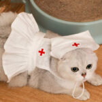 Fashionable And Personalized Cat Dress Set - Image 3