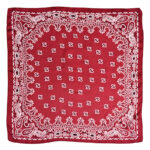 Women's Paisley 70cm Professional Scarf - Image 4