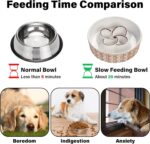 Ceramic Slow Feeder Dog Bowl Slow Feeder Dog Bowl For Medium Large Anti-Choking Slow Eating Dog Bowl Non Slip Dog Bowl Slow Feeder - Image 5