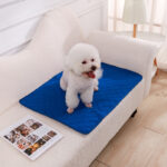 Urinal Pad For Pet Washable Dog Diapers Non-slip Absorbent Easy To Dry - Image 10