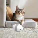 Rolling Mouse Cat Toy Automatic Moving Mouses Glow Feather Electric Teasing Stick Lrregular Running Pet Products - Image 7