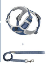 The Dog's Chest Strap Is Out For Walking The Dog - Image 3