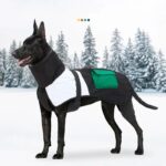 Winter Warm Thicken Waterproof Warm Dog Clothes For Small Medium Large Dogs Pet Dog Coat Greyhound Doberman Labrador Outfits - Image 6