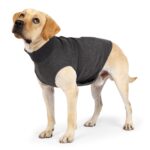 Pet Polyester Emotional Comfort Cotton Double Jacket Clothes - Image 2