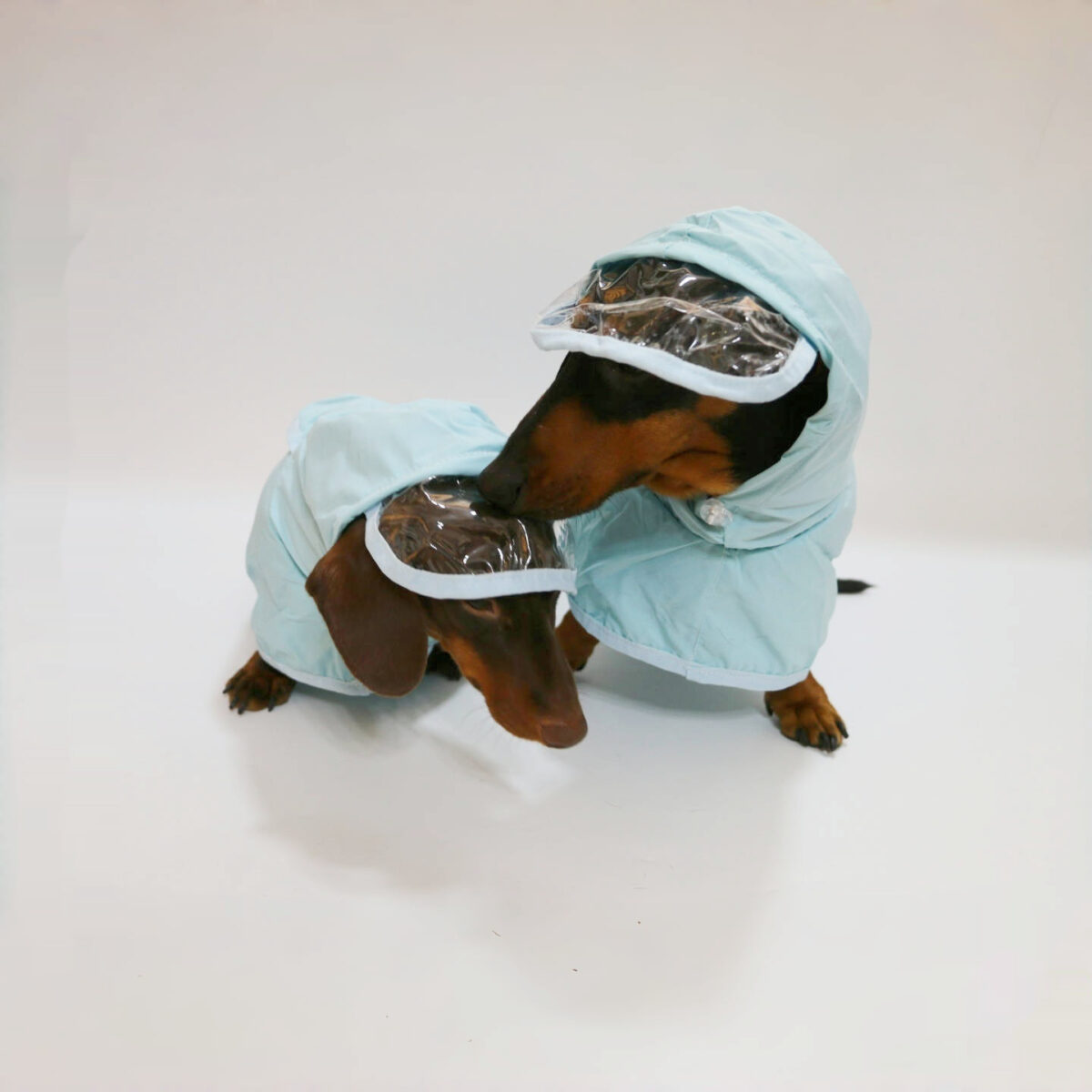 Dog Waterproof Hooded Poncho Raincoat - Image 5