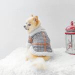 Pet Two Legged Clothes Autumn And Winter Plaid Warm Lamb Velvet - Image 3