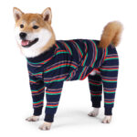 Fully Surrounded High Elastic Four-legged Dog Pajamas - Image 2
