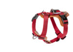 Dog Leash Explosion-proof Puppies Type - Image 3