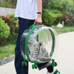 Portable Transparent Trolley Case Cat Bag - Image 3