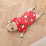 Fashion Personality French Plush Pajamas Pets - Image 5