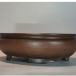 Creative Individual Porcelain Indoor Desktop Purple Sand Flowerpot - Image 5