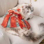 Cat Skirt Princess Style Pet Hanfu Anti Hair Loss - Image 2
