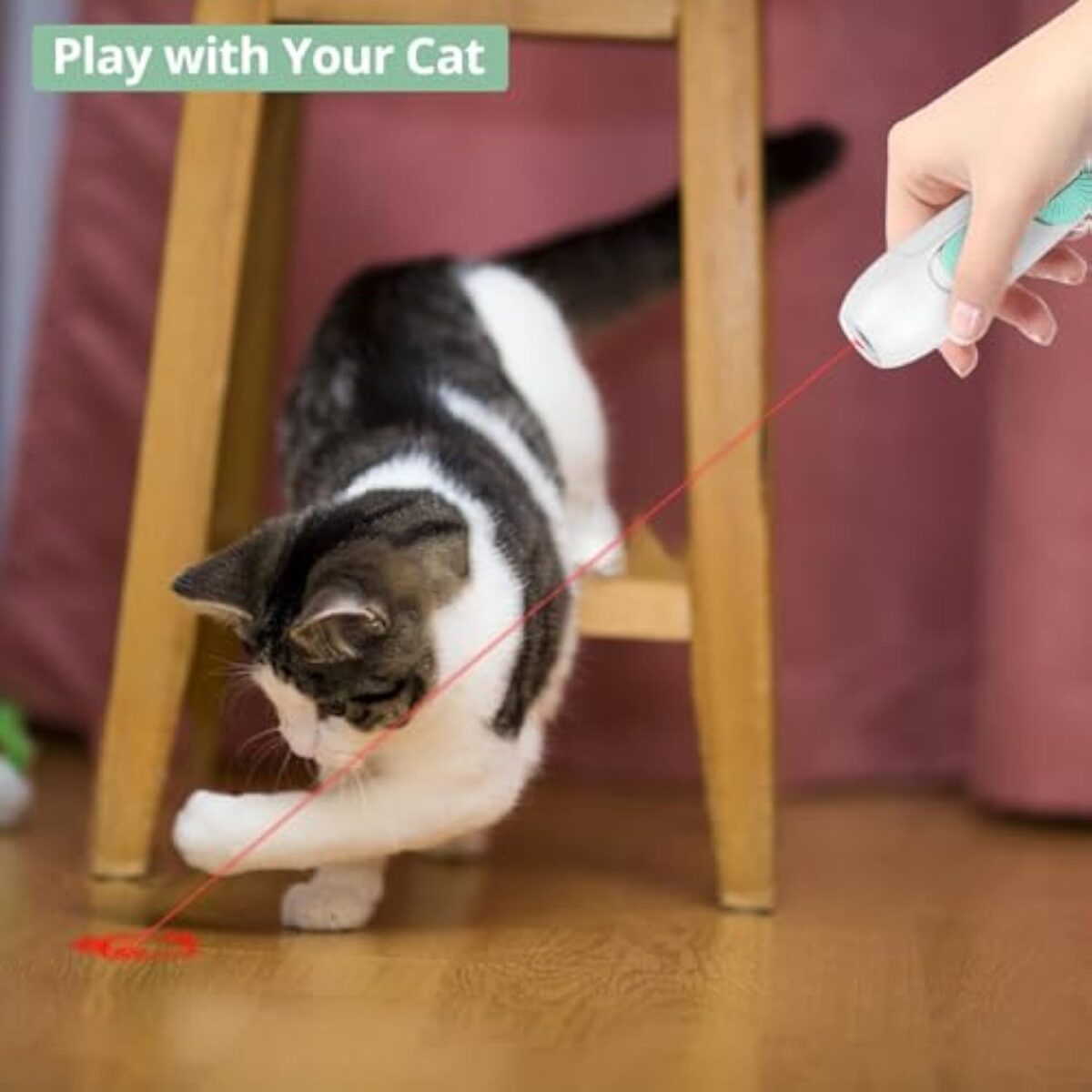 Cat Toy Interactive Rechargeable Laser Pointer Cat Wand With Feather Toy 2-in-1 Cat Toy For Indoor Cat Kitten Pet Laser Toy For Playing - Image 4