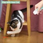 Cat Toy Interactive Rechargeable Laser Pointer Cat Wand With Feather Toy 2-in-1 Cat Toy For Indoor Cat Kitten Pet Laser Toy For Playing - Image 4