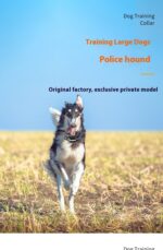 Remote Control Dog Trainer Voice Control Bark Stopper - Image 9