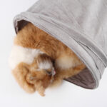Cat Tunnel Pet Toy Cat S Tunnel Foldable Cat Tunnel Cat Drill Bucket Toy - Image 4