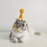 Pet Cute Birthday Hat Decoration Photo Props - Image 2