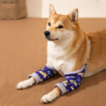 Dogs Knee Protector Pad For Calluses, Dog Knee Brace, Front Elbow Support Wrap, Dog Sleeves For Wounds Dog Elbow Callus Treatment For Medium Large Dogs With Scarf - Image 4