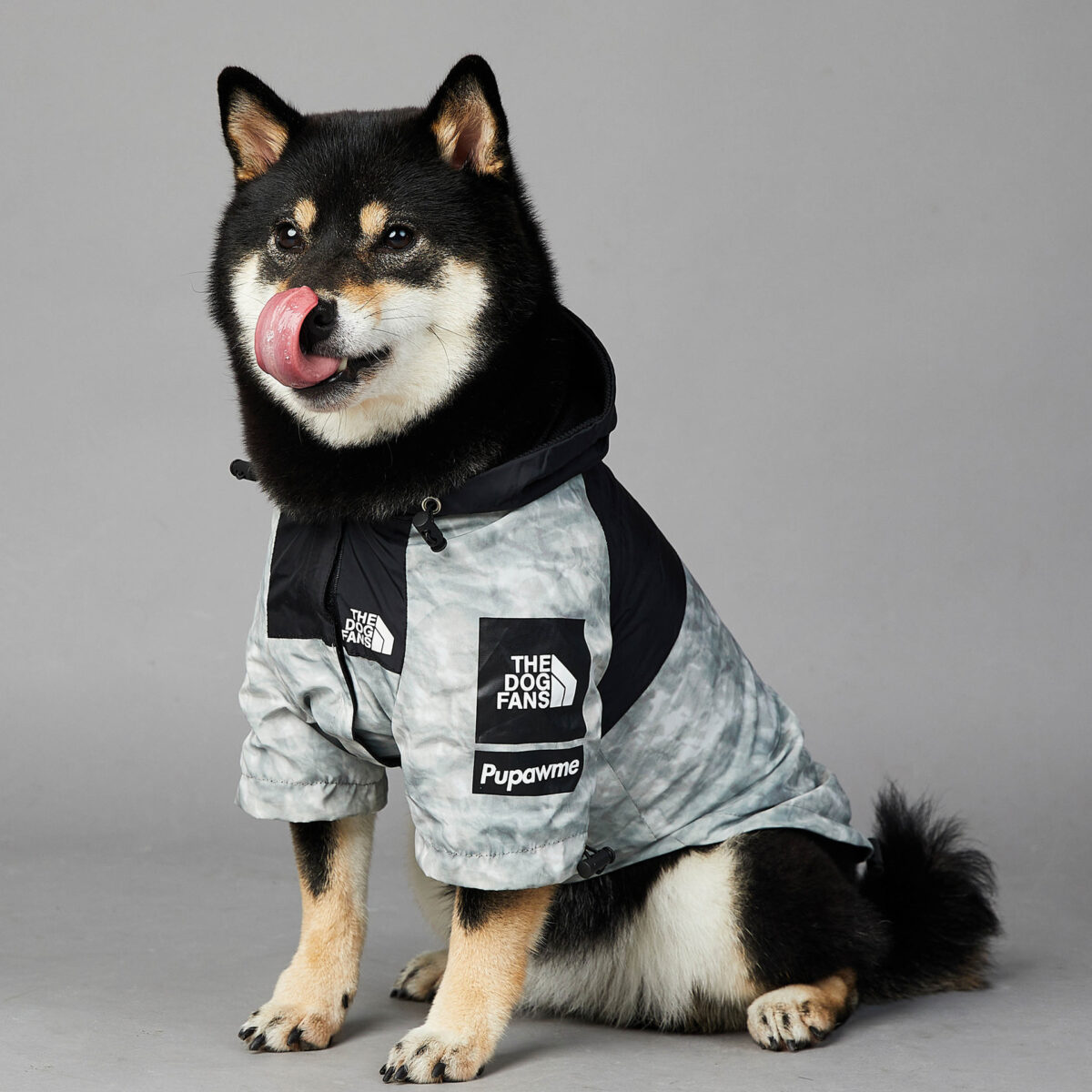 Dog Noodles New Dog Large Dog Dog Pet Shell Jacket - Image 5