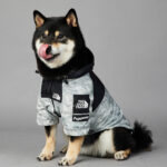 Dog Noodles New Dog Large Dog Dog Pet Shell Jacket - Image 5